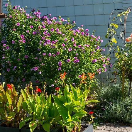 Διαμέρισμα Regina Waldblick Friedrichroda