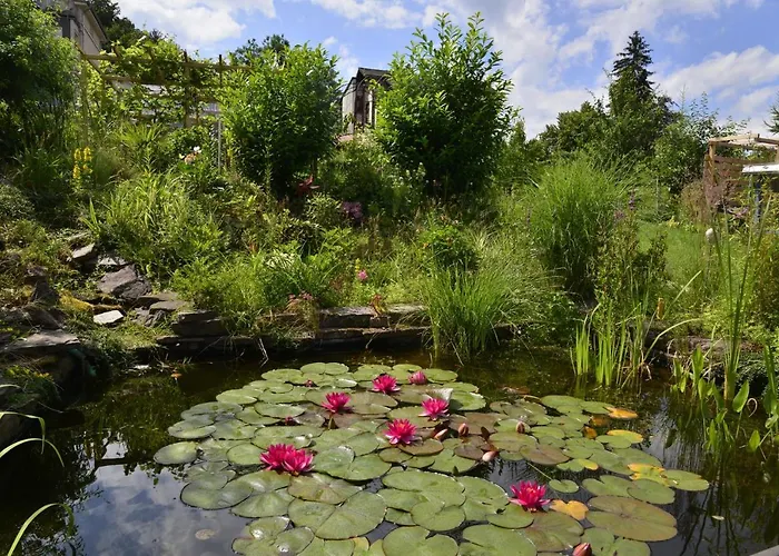 Regina Waldblick Appartement Friedrichroda