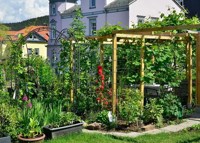 Regina Waldblick Appartement Friedrichroda