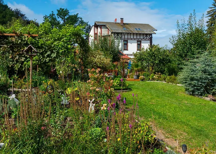 Regina Waldblick Appartement *