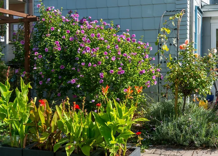 Appartement Regina Waldblick Friedrichroda